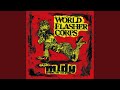 World Flasher Corps (Original Mix)