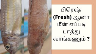 ஏரி மீன் கடல் மீன் ஆற்று மீன் - எது சிறந்தது?