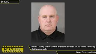 Blount County Sheriff's Office employee Christopher Thomason arrested 11 counts involving child porn