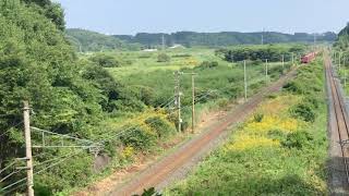 青い森鉄道 EF510 501＋DE10 1761 甲種輸送 2072レ 小川原～三沢 2020/8/19