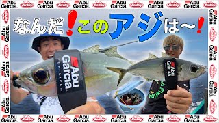 南の島でライトゲーム　小笠原メアジング