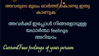 അവരുടെ മുഖം ഓർത്ത് ഇതു കാണുക❤ അവർക്ക് നിങ്ങളോടുള്ള യഥാർത്ഥ feelings അറിയാം #malayalam-tarot #tarot