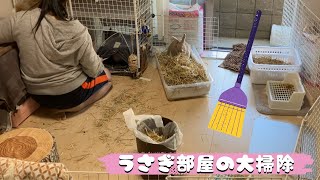 887【タイムラプス】うさぎランドの大掃除　ミニうさぎとアメリカンファジーロップ　～Mama cleaning bunnies land ～