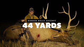 Border Bulls - 44 Yards in Montana