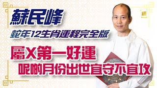 蘇民峰2025年蛇年十二生肖運程  屬X第一好運 附犯太歲化解方法 ｜屬猴小人貴人都好多、 屬雞民個月重桃花｜寒命人熱命人應對有分別｜升職加薪｜結婚戀愛｜九運｜事業運｜財運｜香港樓市｜股市投資｜絪緣運