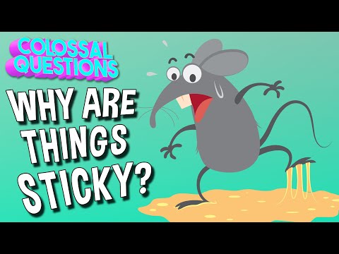 Why Are Things Sticky Colossal Questions Safe Videos For Kids