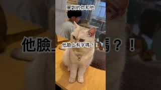 軍訓￼的你和他￼#可愛い猫 #貓咪咖啡廳 #求火 #流量 #流量已失蹤 ￼