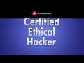 Ethical Hacking - Active Footprinting