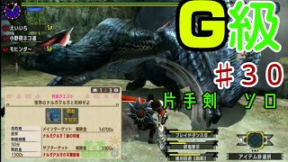 【MHXX】モンハンダブルクロス　スイッチ版　G級☆☆片手剣ソロ　ナルガクルガ