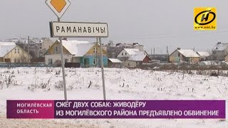 Жителю Могилёвского района предъявлено обвинение в жестоком обращении с животными