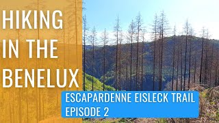 Escapardenne Eisleck Trail Solo Hike Ep2 - crossing the border and first night hike into Houffalize