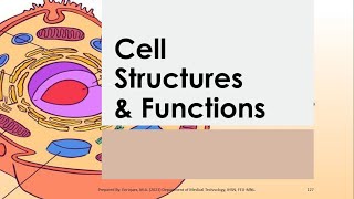 Basic Anatomy & Physiology 03 | CELL STRUCTURES & FUNCTIONS Reference Seeley's