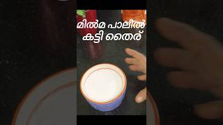 മിൽമ പാലിൽ കട്ടി തൈര് #youtubeshorts ##shortvideo #shotfeed #milma #curd #curdrecipe #food