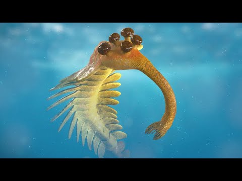 How many eyes did Opabinia?