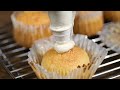 vanilla cupcake recipe