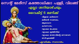 വിശുദ്ധ കുർബാന | മരിയൻ സന്ദേശം | ആരാധന | വ്യാകുല ജപമാല | വ്യാകുല ലുത്തിനിയ| വ്യാകുല മാതാവിന്റെ നൊവേന