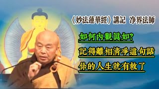 如何内观真如？第一件事：安住清净心 / 净界法师《法华经讲记》采撷 104 #《妙法莲华经》