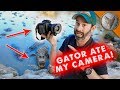 Gator Ate My Camera! Gator Ate My Camera!