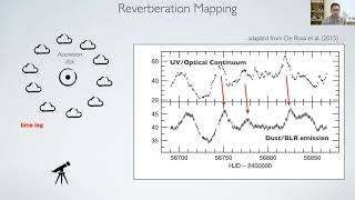 Taro Shimizu: Resolving the Sub-parsec Structure of AGN with VLTI/GRAVITY