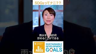 SDGs開発目標11「住み続けられるまちづくりを」解説 #Shorts #sdgs #noharm