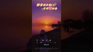 醉音阁车载CD，开车必备