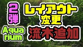 【アクアリウム】流木を追加してみました! レイアウト変更第２弾90cmメイン水槽!!