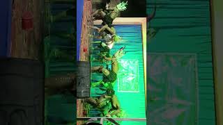 Gudighat  dance program