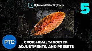 Crop, Heal, Targeted Adjustments and Presets  - Lightroom CC for Beginners FREE Course - 05