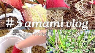 Vlog＃5：奄美大島で育てる南国の植物\u0026ハーブ/冬前の準備/植え替えルーティン/バカスで作る土作り/「自然のまま」を大切に！/楽しくゆるく園芸を楽しむ