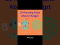 10 Amazing Lesser Known Facts about ChatGPT. part 3 #shorts