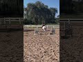 The purple jump was 2’4 🤭 #equestriangirl #horse #equestrain