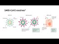 Updates on vaccination for COVID-19 for IBD clinical teams