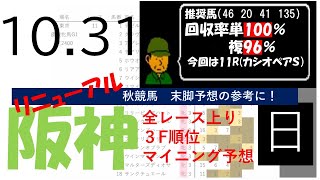 10月31日日曜日　阪神競馬場　上り3F順位データ　カシオペアS 2021(新馬戦除く)