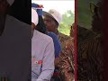 Food Security Drive: Bayelsa State Invests in Dry Season Agriculture