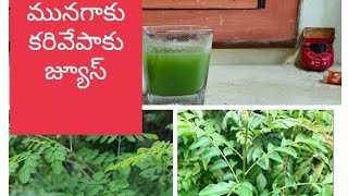 మునగాకు కరివేపాకు జ్యూస్ I Moringa + Curry leaves Juice