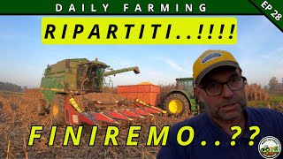 ** POST-ALLUVIONE SI RIPARTE ** | CAMPAGNA INFINITA | DAILY FARMING EP 28