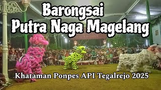 Barongsai Putra Naga Magelang ‼️ Karnaval Budaya Kesenian Khataman Ponpes API Tegalrejo 2025