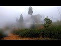 lonely places to visit near darjeeling tinchuley and triveni cinematic travel video