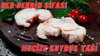 KUYRUK YAĞININ FAYDALARI | KUYRUK YAĞI NELERE İYİ GELİR | KUYRUK YAĞI ZARARLARI | KUYRUK YAĞI KREMİ