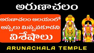 అరుణాచల ఆలయంలో ఇన్ని విశేషాలా! #arunachalam #tiruvannamalai