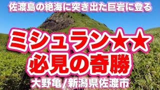 【4K】ミシュラン二つ星の絶景岩に登る【ハイキング】大野亀/新潟県佐渡市【旅行VLOG|徳弘効三】願,巨岩,一枚岩,日本海,ミシュラン,二つ星,佐渡弥彦米山国定公園,景勝地,トビシマカンゾウ