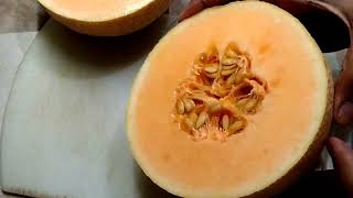 || MUSKMELON JUICE || ಕರ್ಬುಜ ಹಣ್ಣಿನ ಜ್ಯೂಸ್ ಹೀಗೆ ಯಾವತ್ತಾದರೂ ಮಾಡಿದಿರಾ l different style juice l