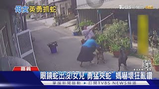 嚇壞老媽了! 眼鏡蛇出沒 女兒勇猛「夾蛇」媽嚇到亂鑽｜TVBS新聞