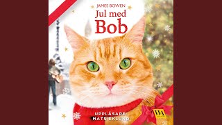 Chapter 9.11 - Jul med Bob