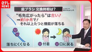 【解説】「毛先が広がったら」歯ブラシ交換はもう古い？  虫歯・歯周病を予防するには？『知りたいッ！』