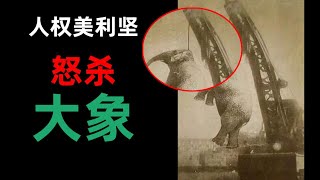 1916年，人权至上的美国是如何杀死一头大象的【真实事件改编】