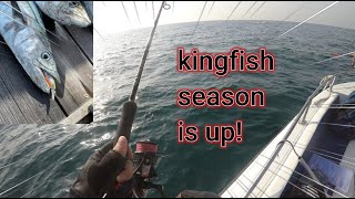 hunting my favorite kingfish | deep sea fishing abu dhabi 2023