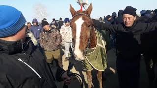 130 км аламан бәйге әлемде болмаған ШҚО Зайсан ауданы(4)