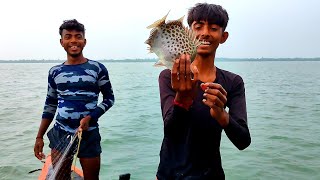 জ্যান্ত ভোলা সাথে দামি চিত্রে মাছ পেলাম/sundarban river fishing video@lifeinsundarban2/new video