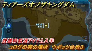 ティアキン　コログの実の場所　ウボッツ台地３　武器枠拡張アイテム入手　＃１３５３　【ゼルダの伝説ティアーズオブザキングダム】